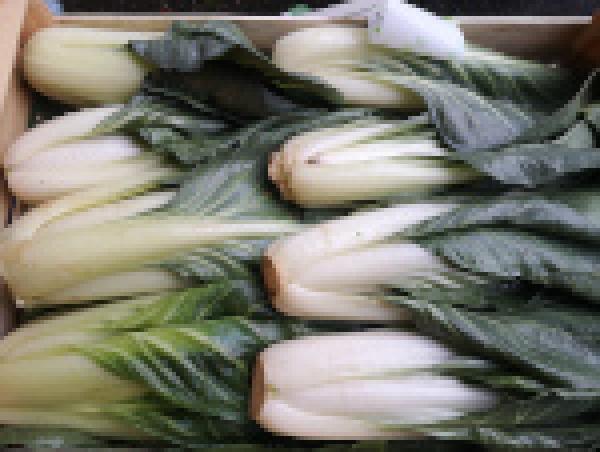 Mangold 1 kg
